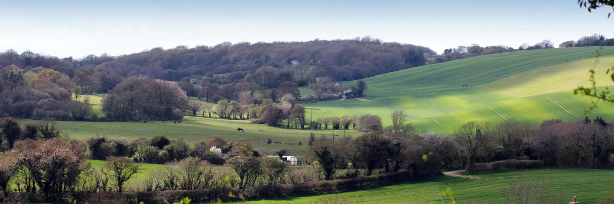 From Yockletts Bank By Jim Higham Aspect Ratio 1200 400