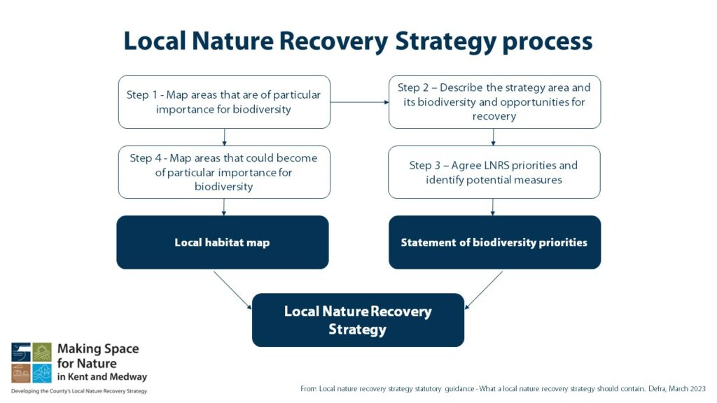 LNRS Process Defra 2023