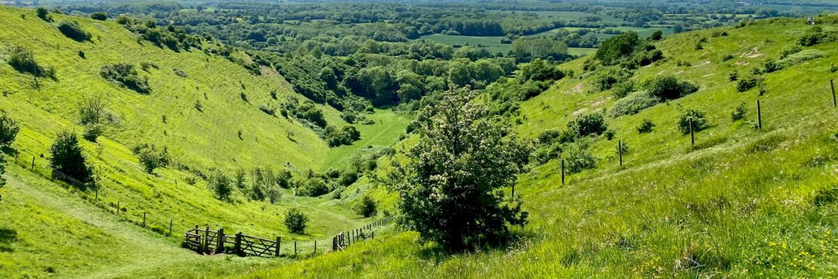 Wye Nnr2 Aspect Ratio 1200 400