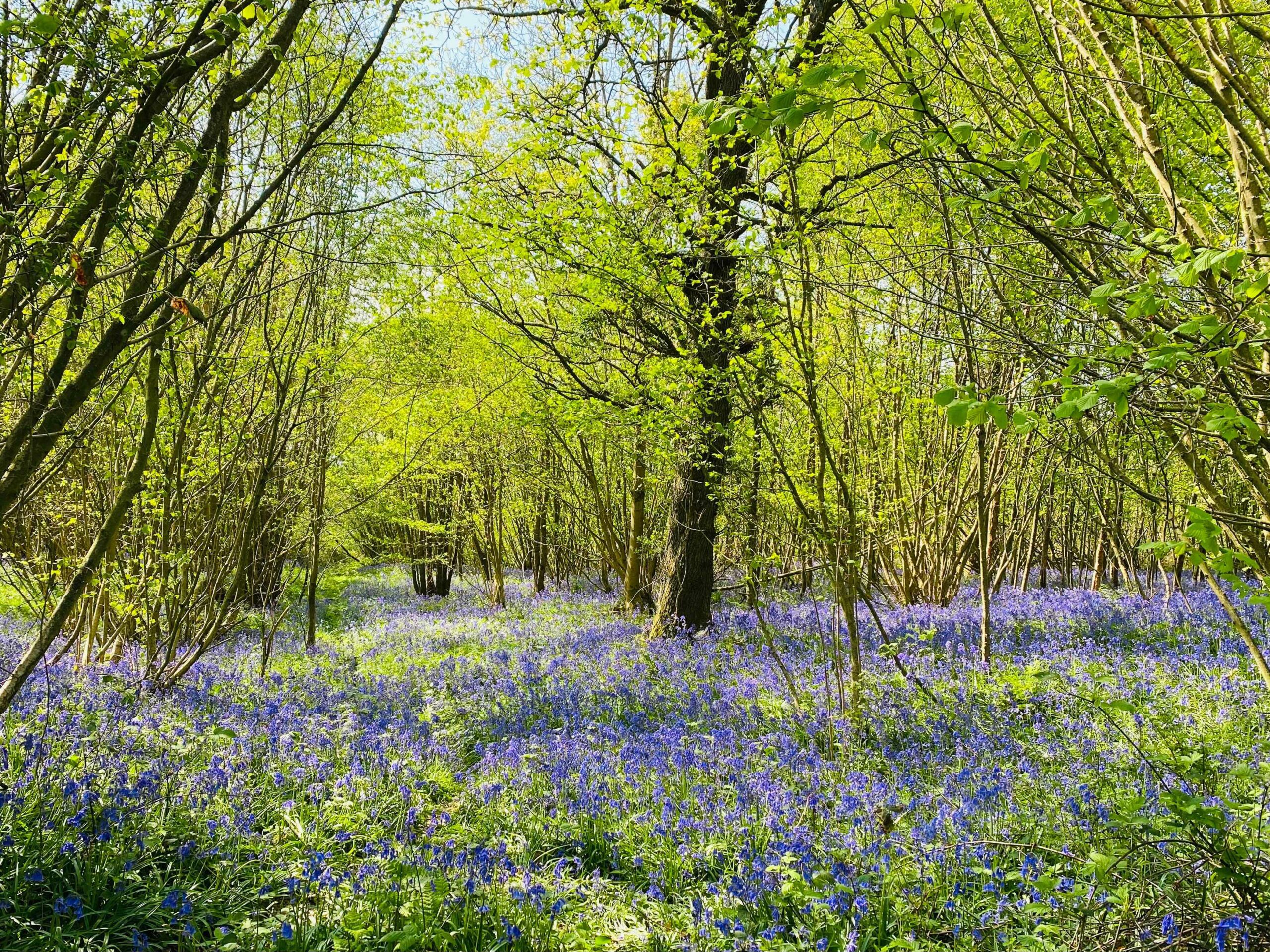 Photo 24 04 2022, 10 57 36 (1) (1)