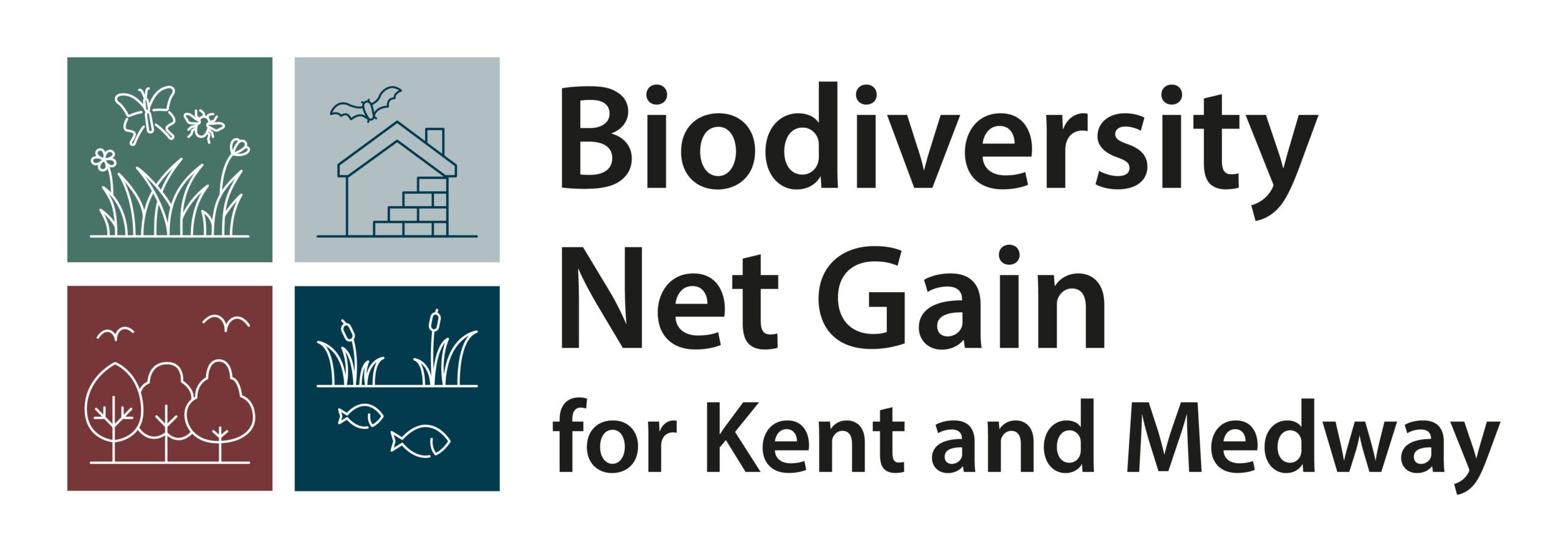 Biodiversity Net Gain For Kent And Medway Logo_Full Colour