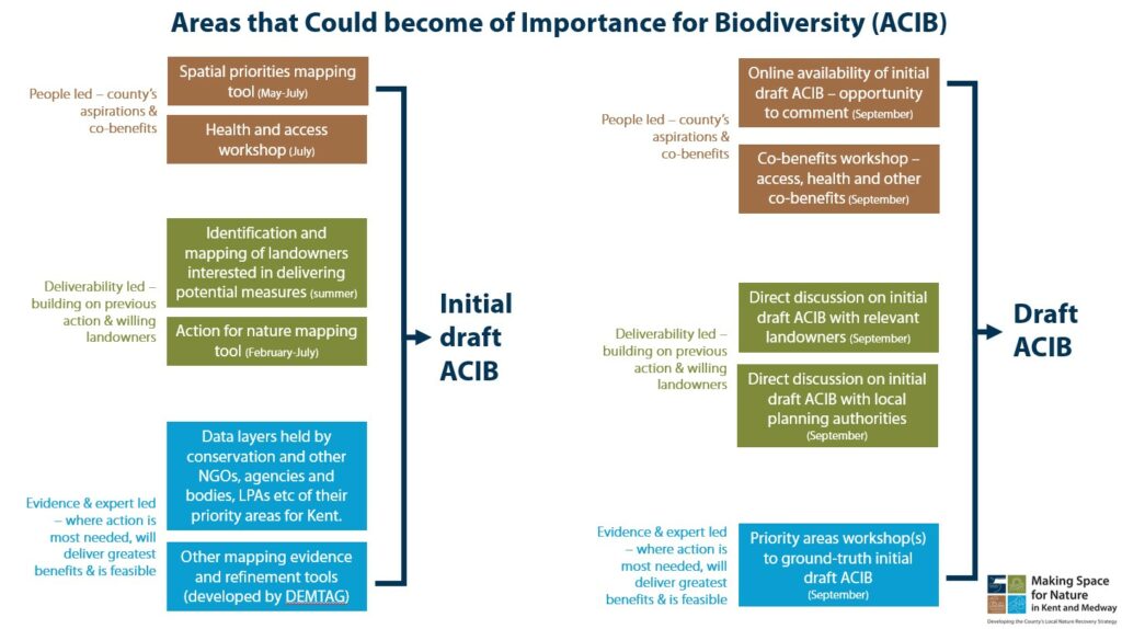 ACIB Development Image