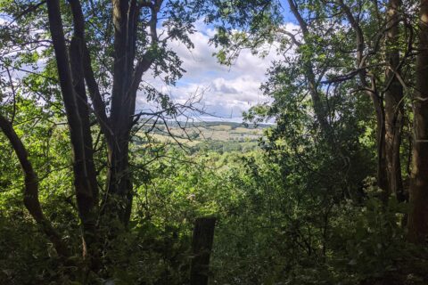 Cobham Woods 1 Scaled Aspect Ratio 480 320