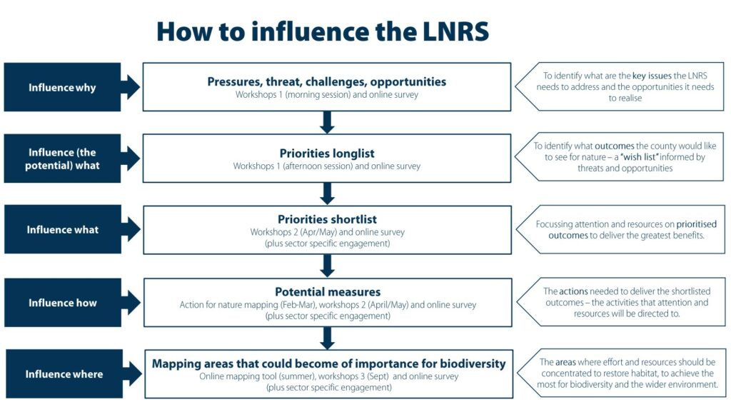 Who To Influence