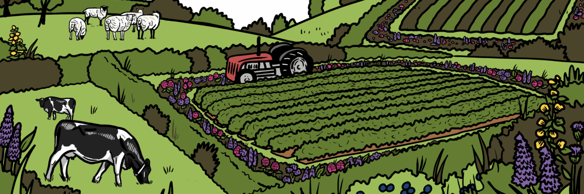 MakingSpaceforNAture_1_Border_1_Farmland2 CopyLR Aspect Ratio 1200 400