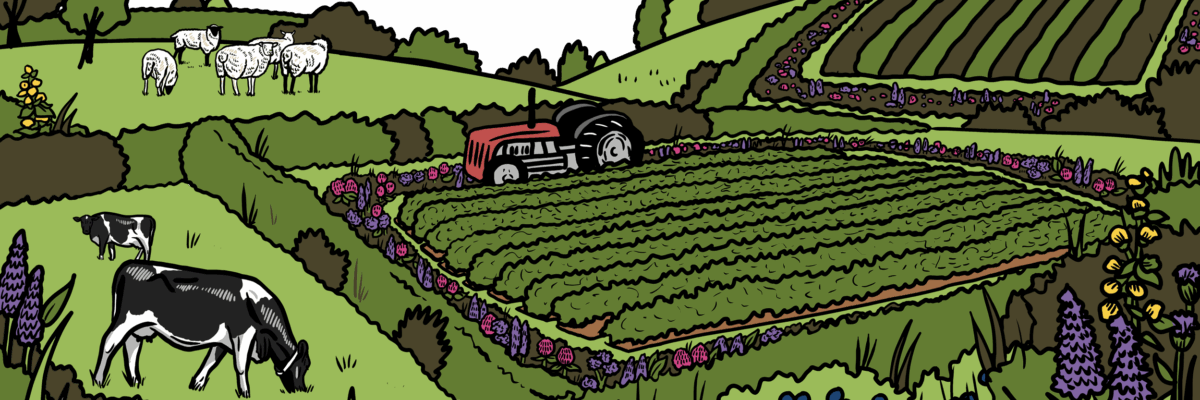 MakingSpaceforNAture_1_Border_1_Farmland2 CopyLR Aspect Ratio 1200 400