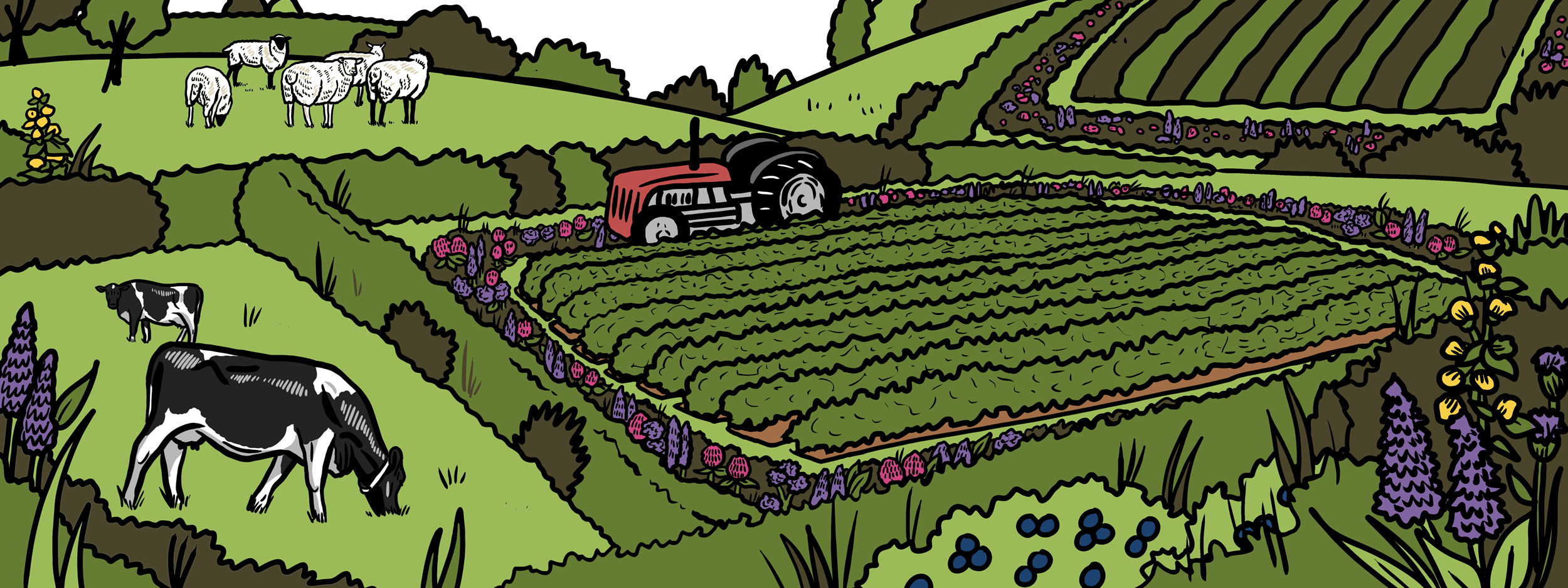 MakingSpaceforNAture_1_Border_1_Farmland2 CopyLR Aspect Ratio 1280 480