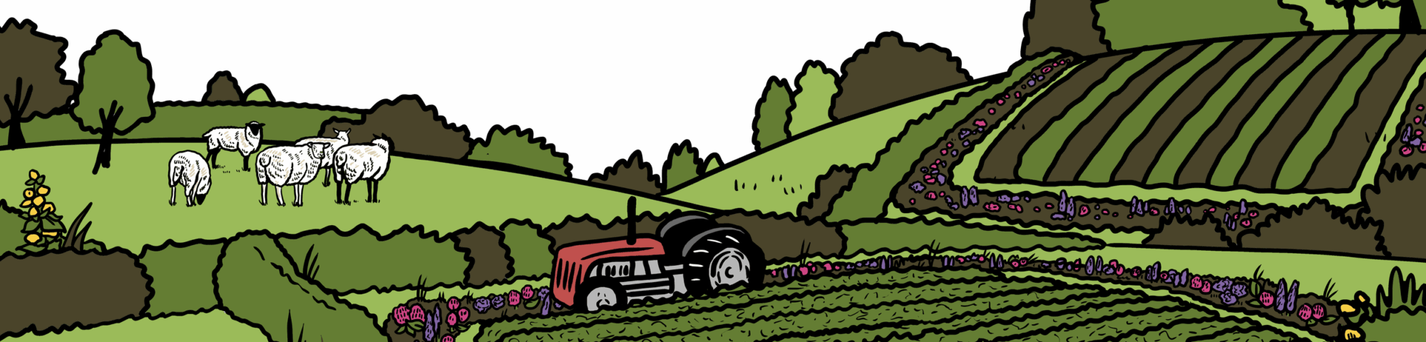 MakingSpaceforNAture_1_Border_1_Farmland2 CopyLR Aspect Ratio 2000 480