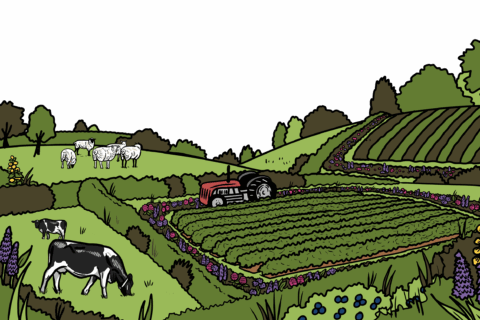 MakingSpaceforNAture_1_Border_1_Farmland2 CopyLR Aspect Ratio 480 320