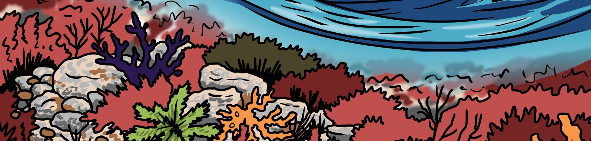 MakingSpaceforNAture_1_Border_4_Beach_ChalkReef Copy LR Scaled Aspect Ratio 2000 480