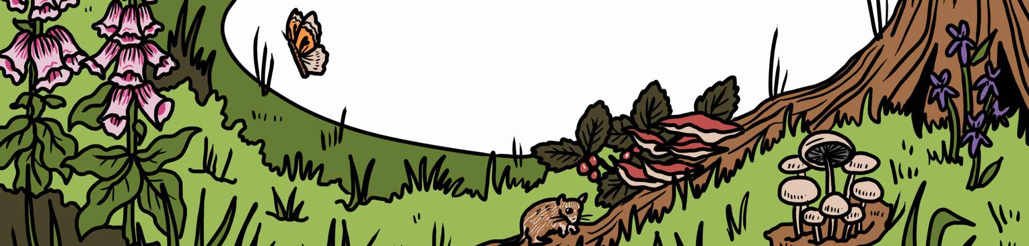 MakingSpaceforNAture_1_Border_5_Woodland Copy LR1 Aspect Ratio 2000 480