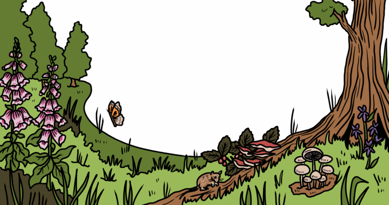 MakingSpaceforNAture_1_Border_5_Woodland Copy LR1 Aspect Ratio 760 400