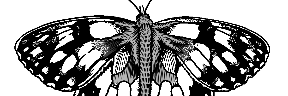 MakingSpaceforNAture_2_Farmland_3_MarbledWhiteButterfly Copy Scaled Aspect Ratio 1200 400