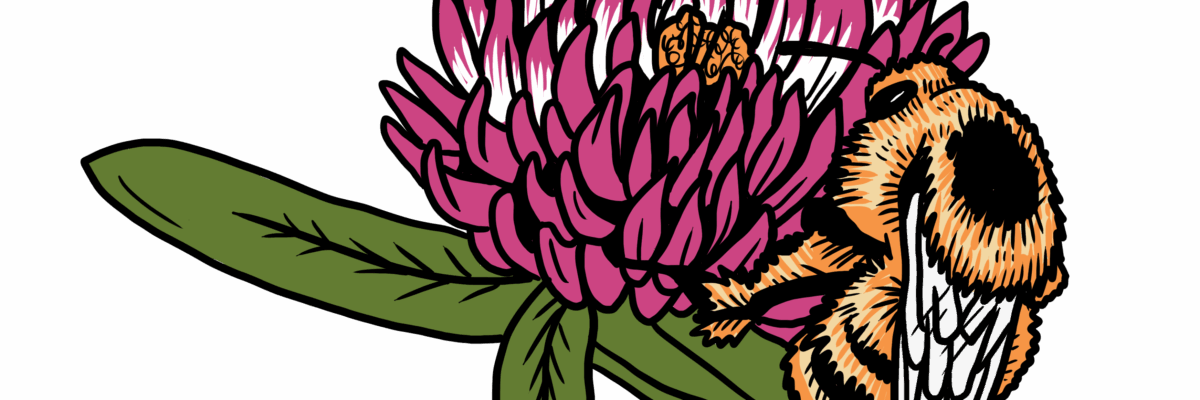 MakingSpaceforNAture_2_Farmland_4_Bees_ShrillCarderBee_2 Copy Aspect Ratio 1200 400