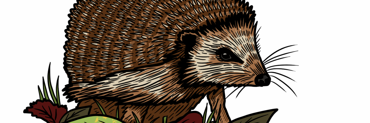 MakingSpaceforNAture_3_Urban_Hedgehog Copy Aspect Ratio 1200 400