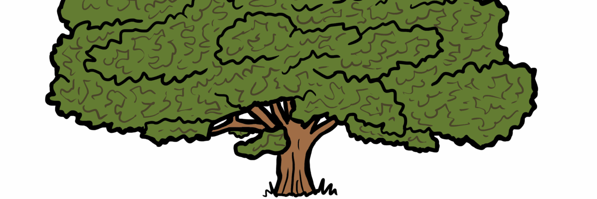 MakingSpaceforNAture_3_Woodland_1_Trees_Oak Copy Scaled Aspect Ratio 1200 400