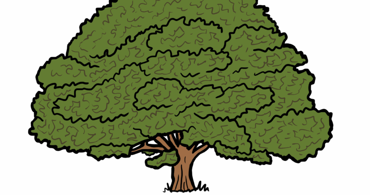 MakingSpaceforNAture_3_Woodland_1_Trees_Oak Copy Scaled Aspect Ratio 760 400