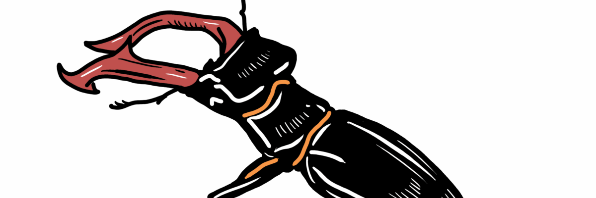 MakingSpaceforNAture_4_Urban_1_animals_Beetle_4 Copy Scaled Aspect Ratio 1200 400