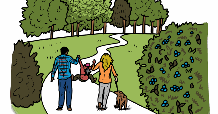 MakingSpaceforNAture_4_Urban_2_PeopleWalkingNature_4 Copy Scaled Aspect Ratio 760 400