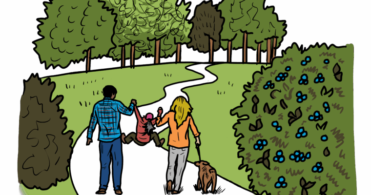 MakingSpaceforNAture_4_Urban_2_PeopleWalkingNature_4 Copy Scaled Aspect Ratio 760 400