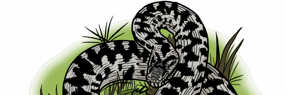 MakingSpaceforNAture_6_Freshwater_17_adder Copy Scaled Aspect Ratio 1200 400