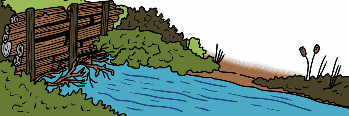 MakingSpaceforNAture_6_Freshwater_1_LeakyDam Copy Scaled Aspect Ratio 1200 400