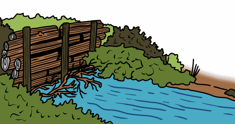 MakingSpaceforNAture_6_Freshwater_1_LeakyDam Copy Scaled Aspect Ratio 760 400