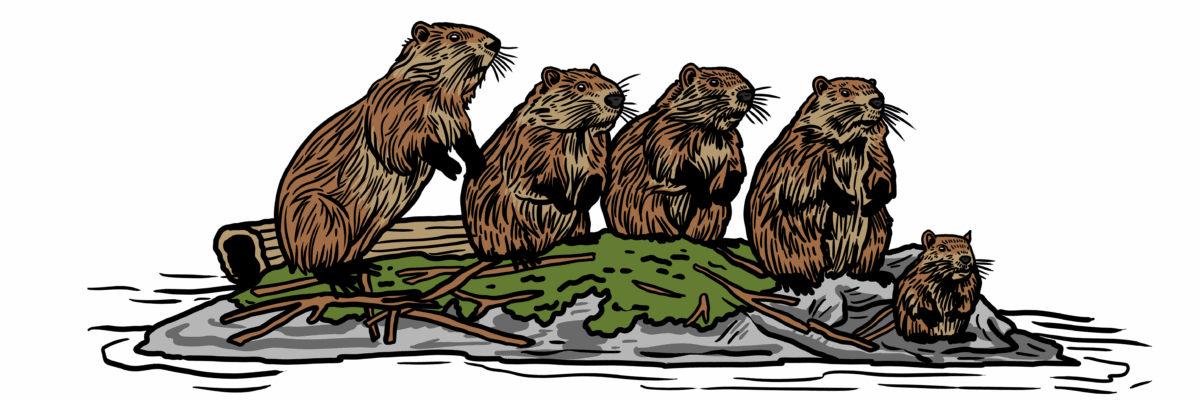 MakingSpaceforNAture_6_Freshwater_2_Beavers Copy Aspect Ratio 1200 400