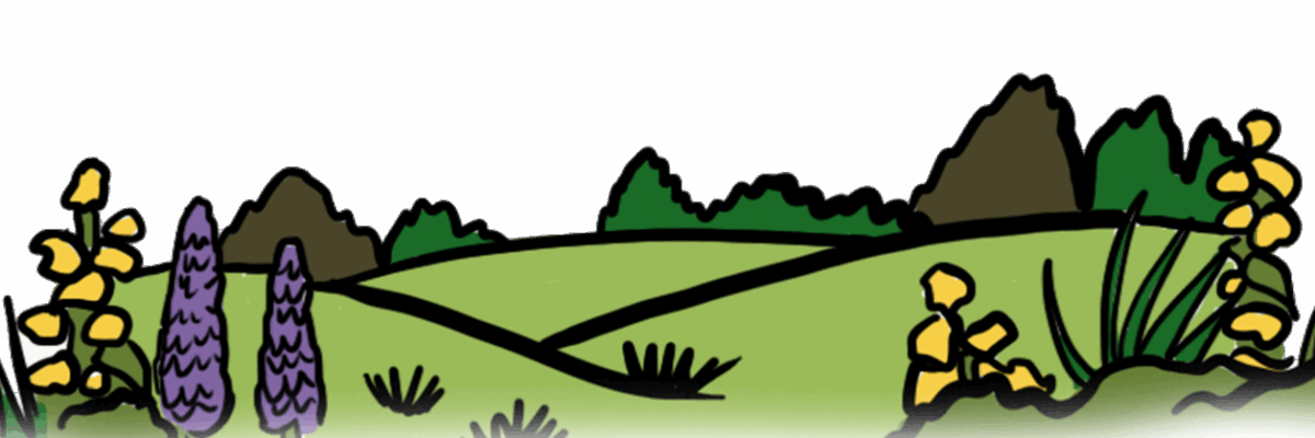 MakingSpaceforNature_LNRS_AmbitionsPriorities_2_Asset1 Copy Resized Aspect Ratio 1200 400