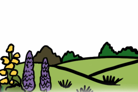 MakingSpaceforNature_LNRS_AmbitionsPriorities_2_Asset1 Copy Resized Aspect Ratio 480 320