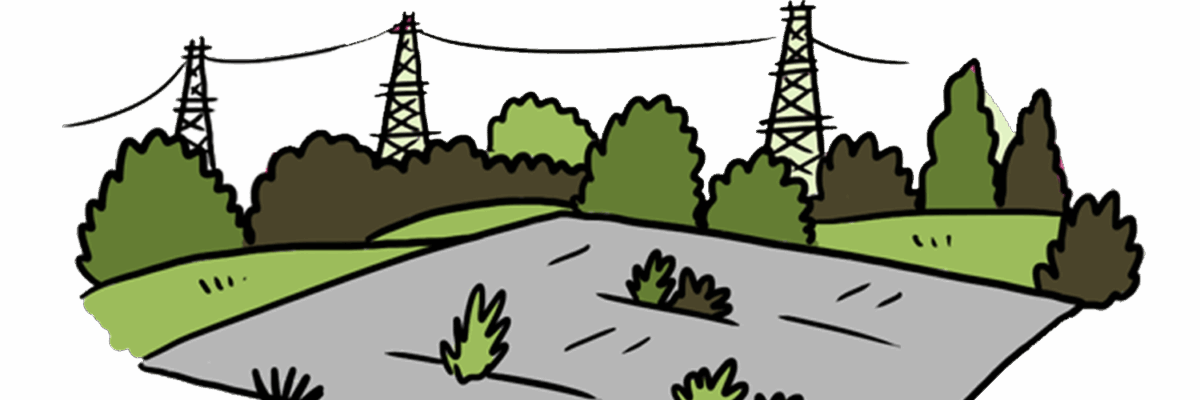 MakingSpaceforNature_LNRS_AmbitionsPriorities_2_Asset6 Resized Aspect Ratio 1200 400