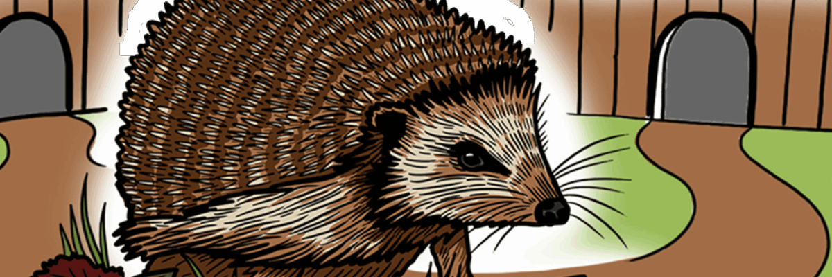 MakingSpaceforNature_LNRS_Principles_Asset4 Resized Aspect Ratio 1200 400