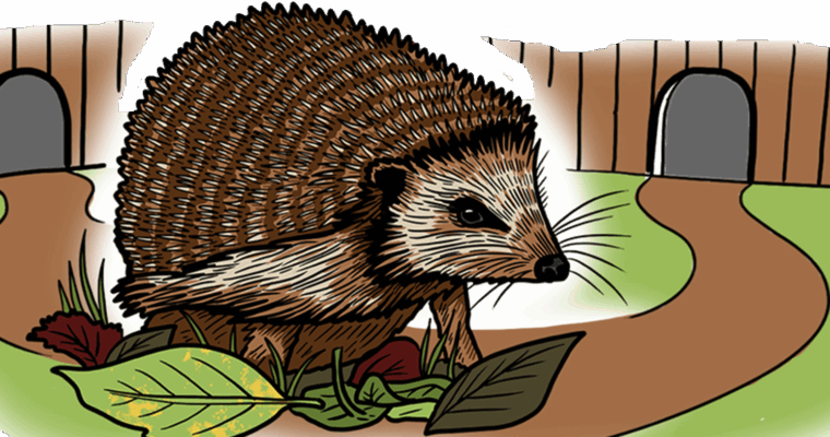 MakingSpaceforNature_LNRS_Principles_Asset4 Resized Aspect Ratio 760 400