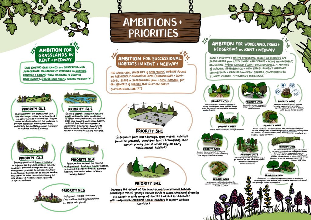 MakingSpaceforNature_ReportAssets_4_Ambitions+Priorities_2_v2 Copy