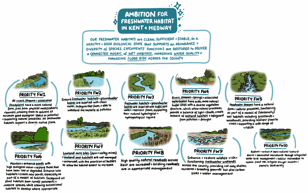 Freshwater Landscape