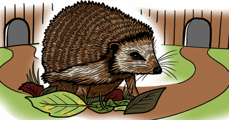 Hedgehog Edit Aspect Ratio 760 400