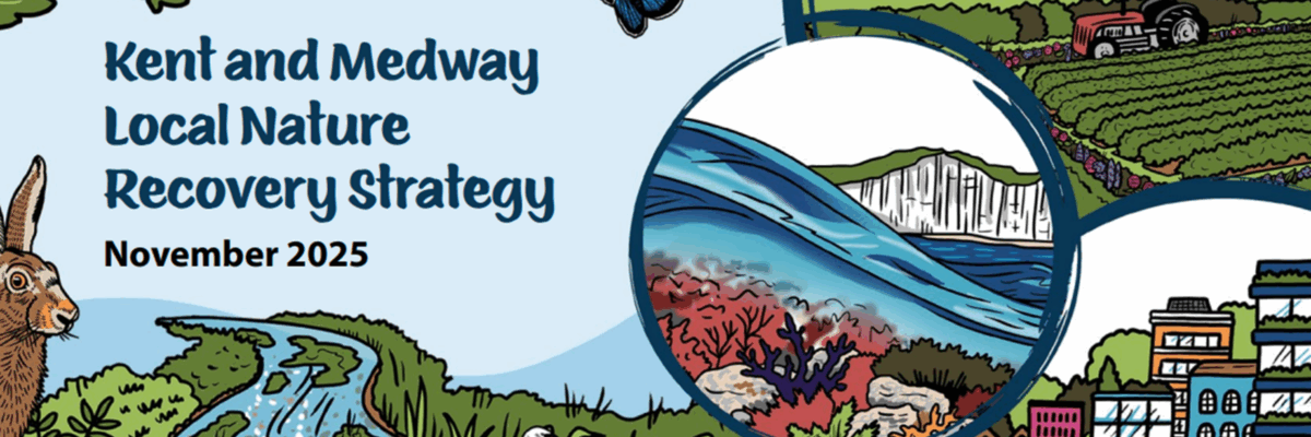 Website Banner Aspect Ratio 1200 400