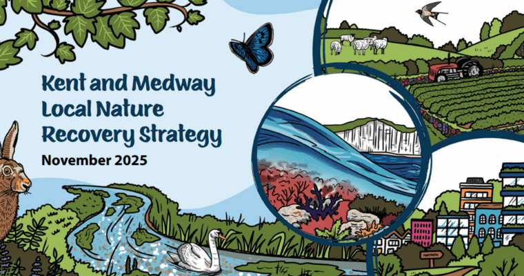 Website Banner Aspect Ratio 760 400