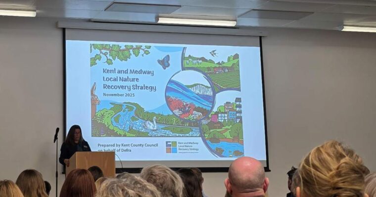 IMG 20251204 WA0004 Aspect Ratio 760 400