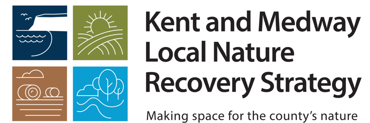 Screenshot Of Correct LNRS Logo 2025 Aspect Ratio 1200 400