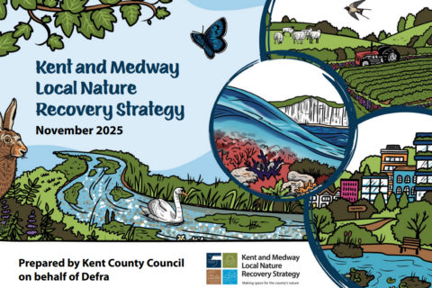 Screenshot Of Front Cover Of LNRS Aspect Ratio 480 320